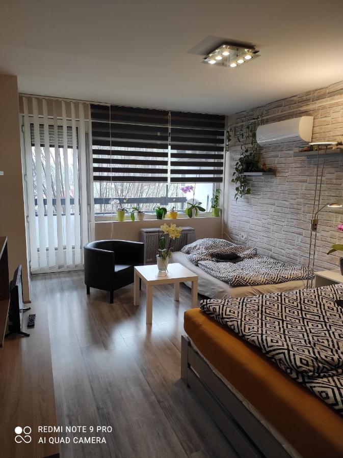 Baross apartman Kaposvar Bagian luar foto