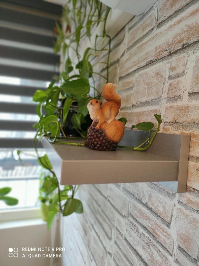 Baross apartman Kaposvar Bagian luar foto